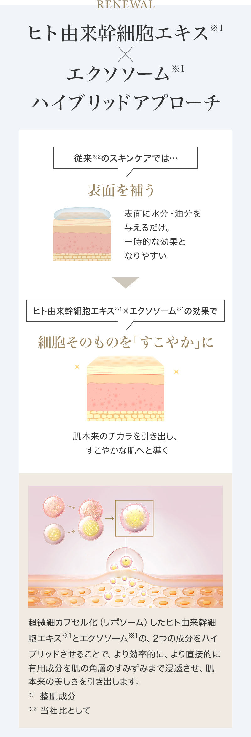 SBC MEDISPA ステムクレンジング – SBC湘南美容クリニックオンラインストア